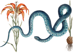 画板 3
